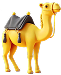 Qurbani